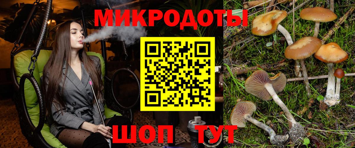 Псилоцибиновые грибы Psilocybine cubensis  Вход с VPN  Псилоцибиновые грибы MAGIC MUSHROOMS  Избербаш 