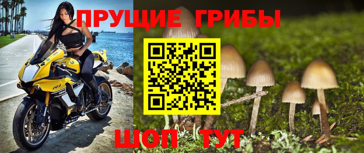 Галлюциногенные грибы мухоморы Избербаш